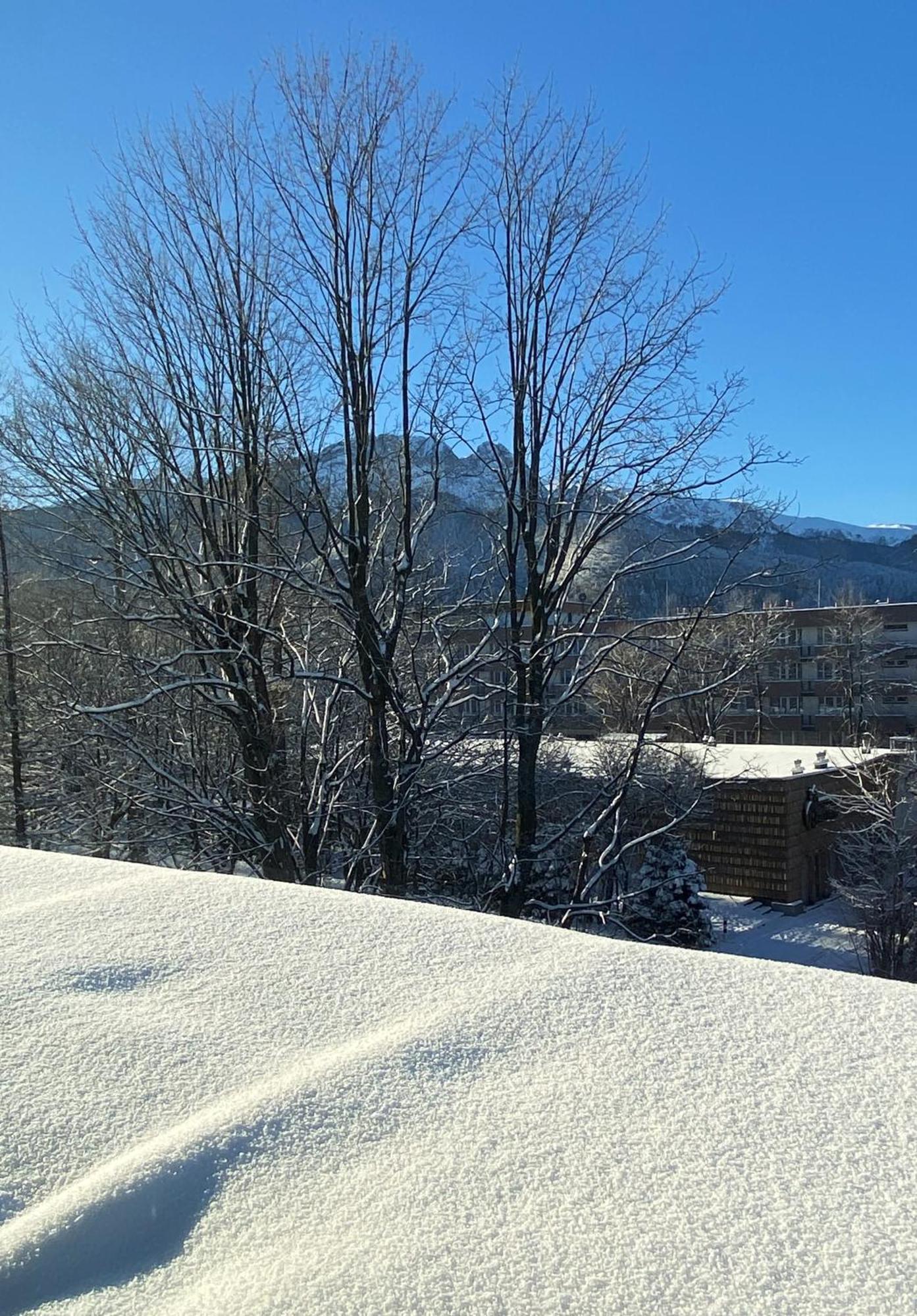 Tuberoza Panzió Zakopane Kültér fotó