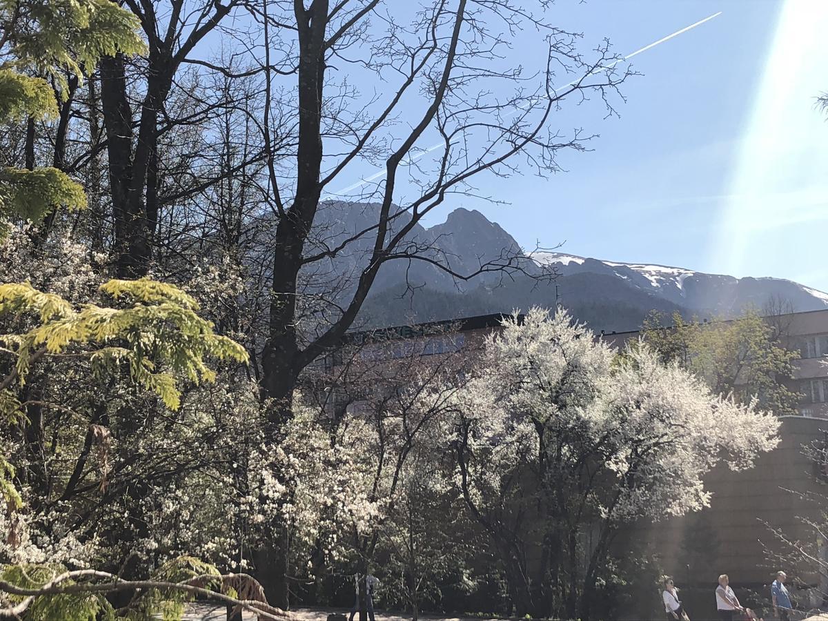 Tuberoza Panzió Zakopane Kültér fotó